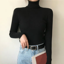 Korean Fashion Casual Plain Rib Knit Turtleneck (17 Colors)