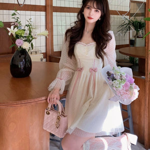Harajuku Kawaii Fashion Fairycore Long Sleeve Corset Lacing Dress – The  Kawaii Factory