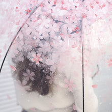 Clear Dome Cherry Blossom Umbrella